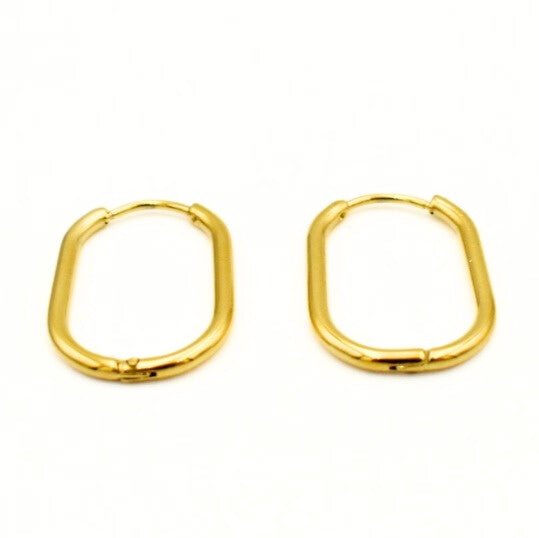 Gold Toned Hoop Earrings