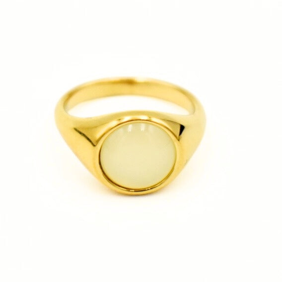 Gold Toned Shell Chunky Rings