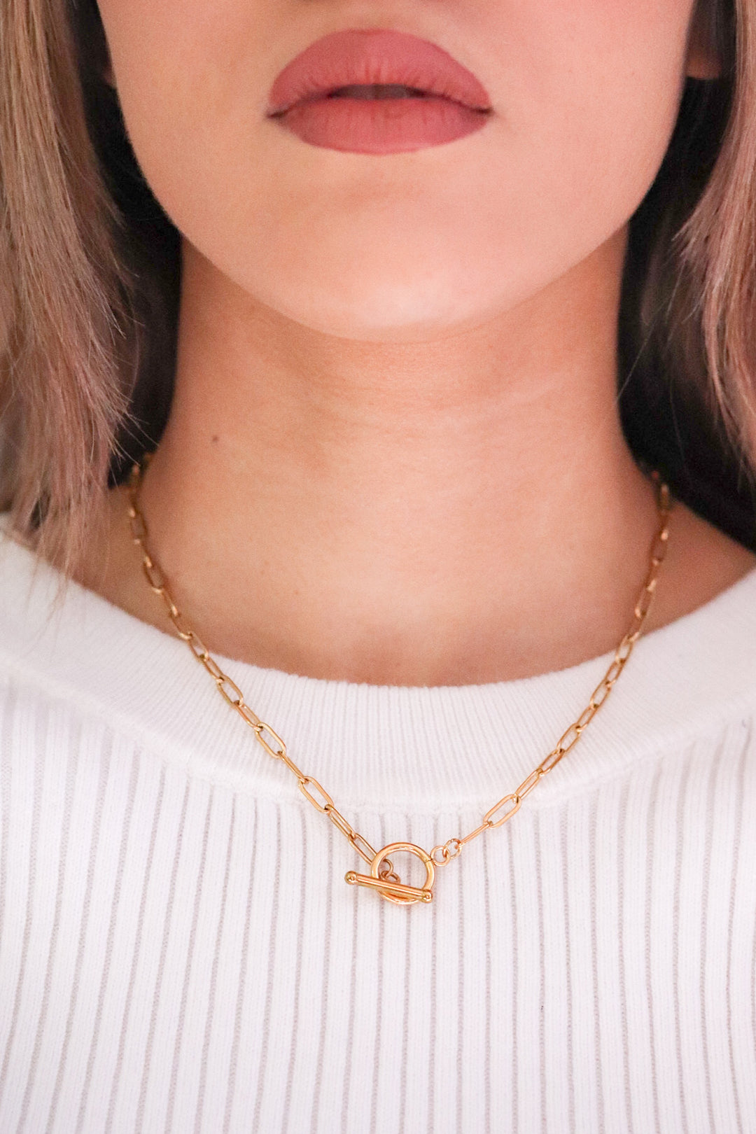 Gold Plated Paperclip Necklace and T-Link