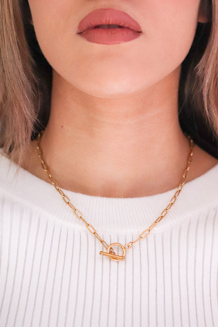 Gold Plated Paperclip Necklace and T-Link